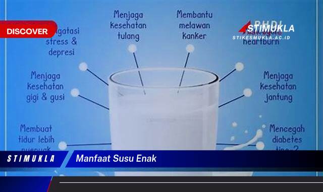 Ketahui 10 Manfaat Susu Enak untuk Kesehatan Tubuh dan Pikiran