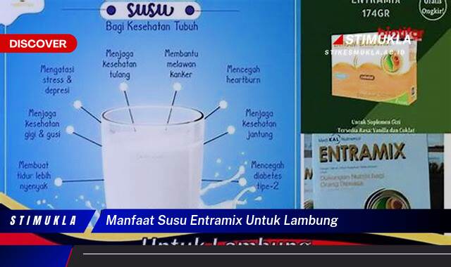 Temukan 9 Manfaat Susu Entramix untuk Lambung Atasi Maag dan Kembung