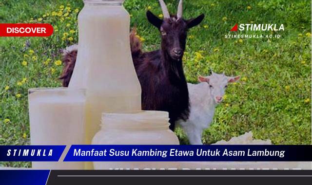 Ketahui 8 Manfaat Susu Kambing Etawa untuk Asam Lambung, Redakan Gejala dan Atasi Masalah Pencernaan