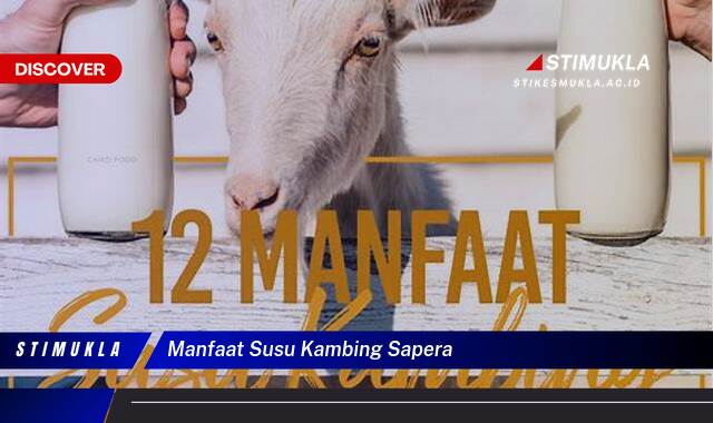 Temukan 8 Manfaat Susu Kambing Sapera untuk Kesehatan Tubuh Anda