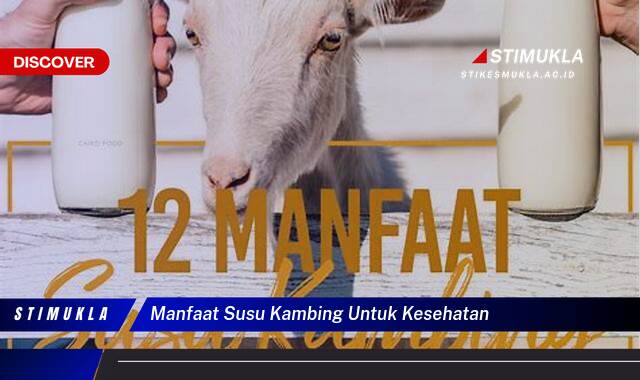 Ketahui 9 Manfaat Susu Kambing Untuk Kesehatan Tingkatkan Imun Tubuh Secara Alami