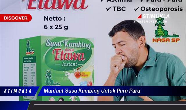 8 Manfaat Susu Kambing Untuk Paru,Paru, Redakan Batuk, Atasi Asma