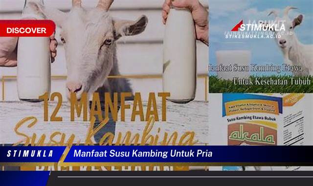 Ketahui 8 Manfaat Susu Kambing untuk Pria, Meningkatkan Kesehatan dan Vitalitas Ketahui 8 Manfaat Susu Kambing untuk Pria, Meningkatkan Kesehatan dan Vitalitas