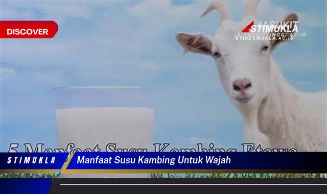 Ketahui 8 Manfaat Susu Kambing Untuk Wajah Cerah, Sehat, dan Awet Muda