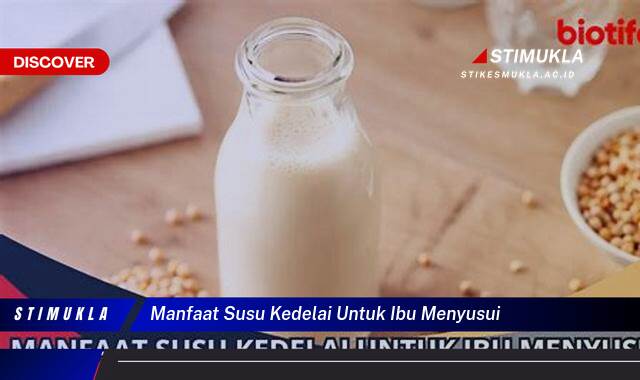 Ketahui 10 Manfaat Susu Kedelai untuk Ibu Menyusui, Meningkatkan Produksi ASI dan Kesehatan Bayi