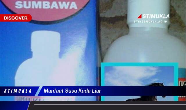 Ketahui 10 Manfaat Susu Kuda Liar untuk Kesehatan dan Kecantikan Anda Ketahui 10 Manfaat Susu Kuda Liar untuk Kesehatan dan Kecantikan Anda