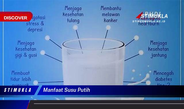 Ketahui 10 Manfaat Susu Putih untuk Kesehatan Tubuh Anda