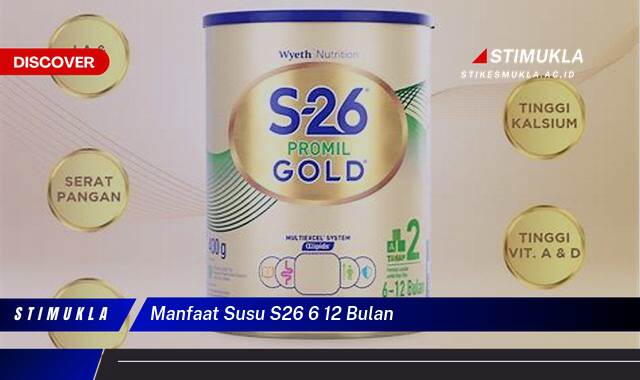 Inilah 10 Manfaat Susu S26 6 12 Bulan untuk Tumbuh Kembang Optimal