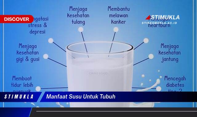8 Manfaat Susu Untuk Tubuh Tingkatkan Kesehatan Secara Optimal