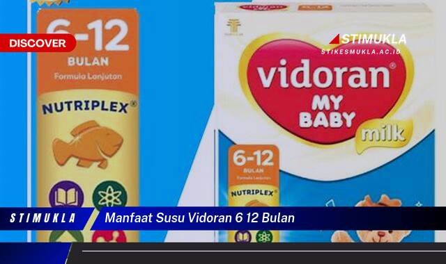 9 Manfaat Susu Vidoran 6 12 Bulan, Pentingnya Nutrisi