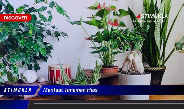 Ketahui 8 Manfaat Tanaman Hias untuk Kesehatan dan Keindahan Rumah Anda