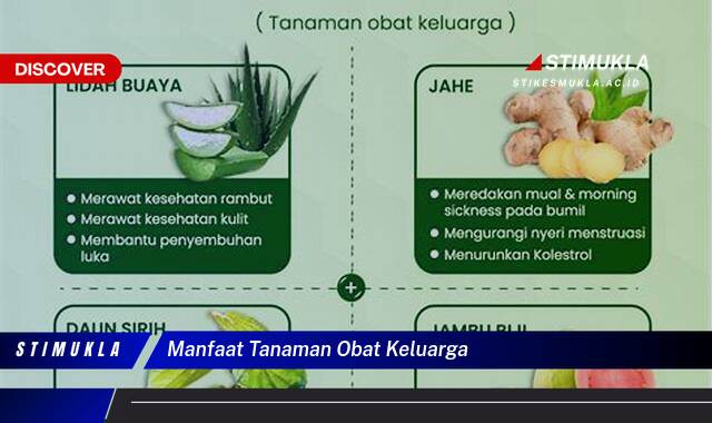 Ketahui 10 Manfaat Tanaman Obat Keluarga untuk Kesehatan Anda