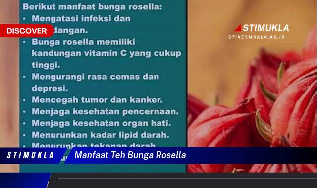 Ketahui 9 Manfaat Teh Bunga Rosella untuk Kesehatan Tubuh Anda Ketahui 9 Manfaat Teh Bunga Rosella untuk Kesehatan Tubuh Anda