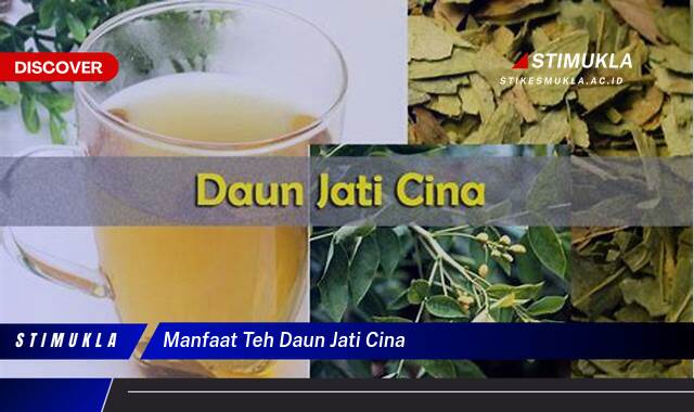 Ketahui 9 Manfaat Teh Daun Jati Cina untuk Menurunkan Berat Badan Secara Alami dan Efektif Ketahui 9 Manfaat Teh Daun Jati Cina untuk Menurunkan Berat Badan Secara Alami dan Efektif