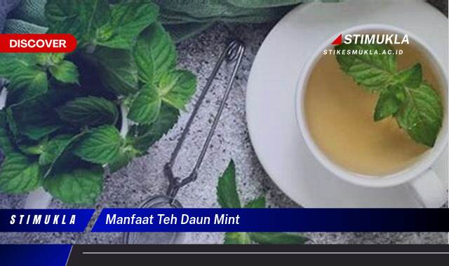 Inilah 10 Manfaat Teh Daun Mint untuk Kesehatan Tubuh dan Pikiran