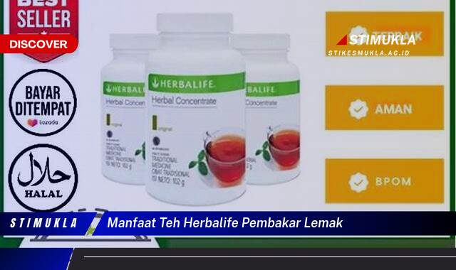 Inilah 8 Manfaat Teh Herbalife Pembakar Lemak untuk Diet Sehat Alami