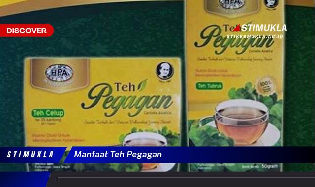 Temukan 8 Manfaat Teh Pegagan untuk Kulit Cantik Alami Temukan 8 Manfaat Teh Pegagan untuk Kulit Cantik Alami