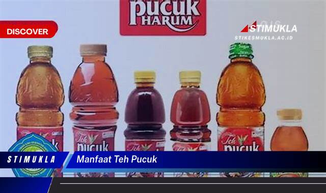 Ketahui 10 Manfaat Teh Pucuk Harum Untuk Kesehatan Tubuh Anda