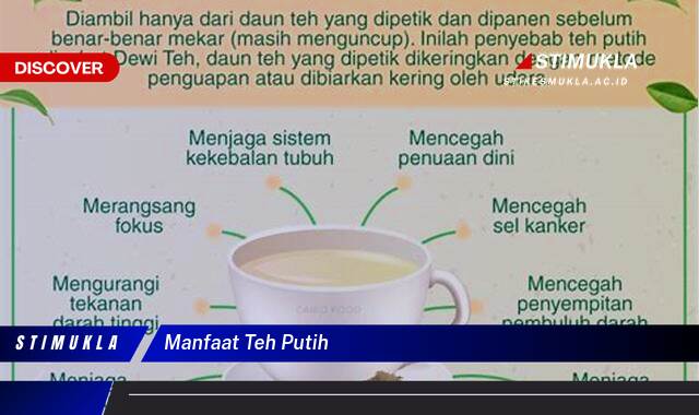 Ketahui 10 Manfaat Teh Putih untuk Kesehatan, Meningkatkan Imunitas, Menjaga Berat Badan, dan Lainnya