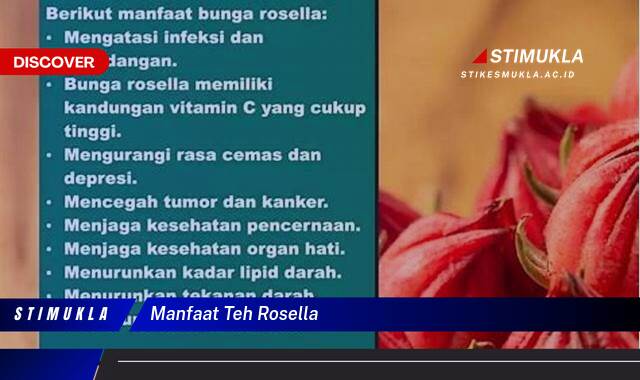 Ketahui 10 Manfaat Teh Rosella untuk Kesehatan Tubuh Anda Ketahui 10 Manfaat Teh Rosella untuk Kesehatan Tubuh Anda