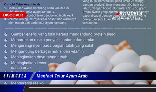 10 Manfaat manfaat telur ayam arab Lebih Sehat Lebih Bertenaga