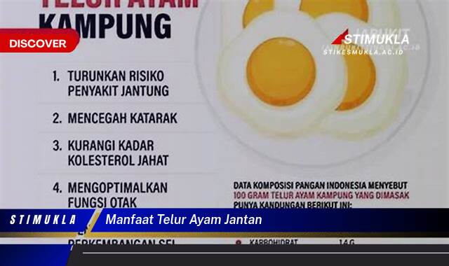 Ketahui 8 Manfaat Telur Ayam Jantan, Mitos vs. Fakta yang Mengejutkan