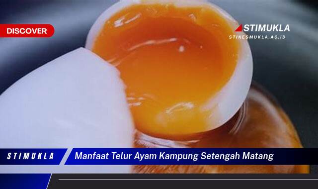 Ketahui 9 Manfaat Telur Ayam Kampung Setengah Matang untuk Kesehatan Anda Ketahui 9 Manfaat Telur Ayam Kampung Setengah Matang untuk Kesehatan Anda