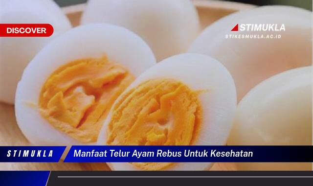 Ketahui 10 Manfaat Telur Ayam Rebus untuk Kesehatan Tubuh dan Otak Anda