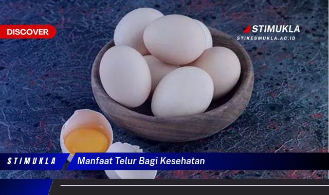 9 Manfaat Telur Bagi Kesehatan Terungkap Khasiatnya