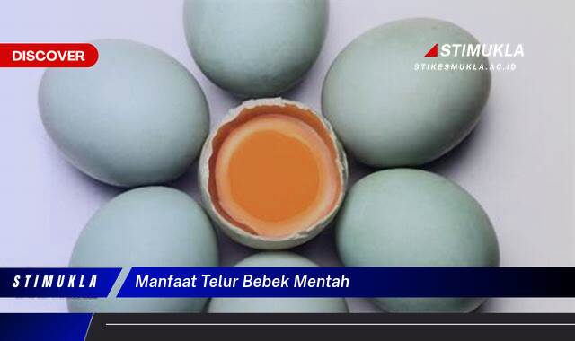 Ketahui 8 Manfaat Telur Bebek Mentah untuk Kesehatan dan Kecantikan Ketahui 8 Manfaat Telur Bebek Mentah untuk Kesehatan dan Kecantikan