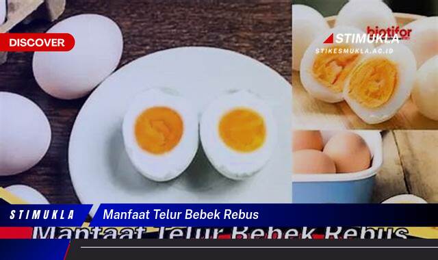 Ketahui 10 Manfaat Telur Bebek Rebus untuk Kesehatan Tubuh Anda