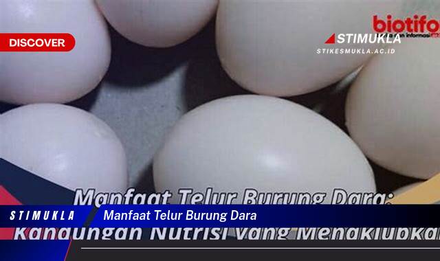 Ketahui 9 Manfaat Telur Burung Dara untuk Kesehatan Tubuh Anda