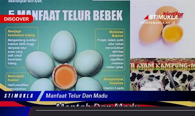 Inilah 9 Manfaat Telur dan Madu untuk Kesehatan dan Kecantikan