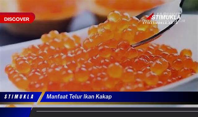 Ketahui 8 Manfaat Telur Ikan Kakap untuk Kesehatan Tubuh