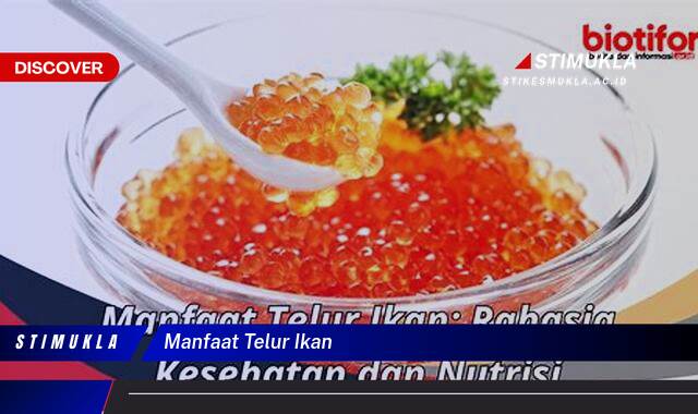 Ketahui 10 Manfaat Telur Ikan untuk Kesehatan dan Nutrisi Tubuh Anda Ketahui 10 Manfaat Telur Ikan untuk Kesehatan dan Nutrisi Tubuh Anda