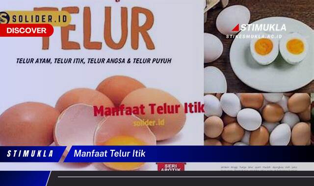 10 Manfaat Telur Itik untuk Kesehatan, Kecantikan dan Kehamilan