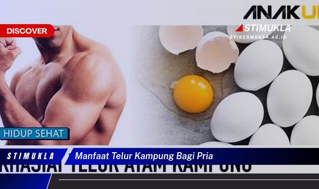 Ketahui 9 Manfaat Telur Kampung Bagi Pria untuk Kesehatan Tubuh yang Prima Ketahui 9 Manfaat Telur Kampung Bagi Pria untuk Kesehatan Tubuh yang Prima
