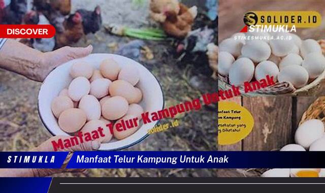 Temukan 10 Manfaat Telur Kampung Untuk Anak  Tingkatkan Tumbuh Kembang Optimal