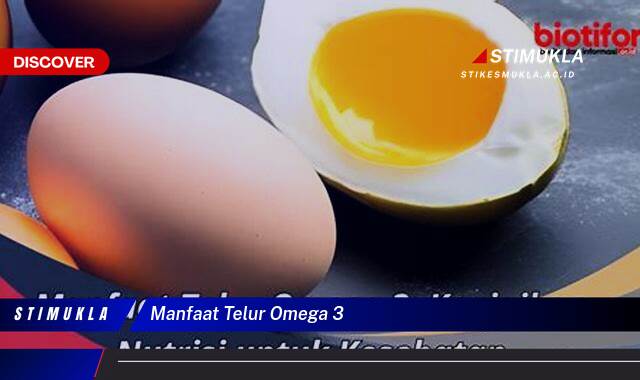 Ketahui 9 Manfaat Telur Omega 3 untuk Kesehatan Tubuh Anda