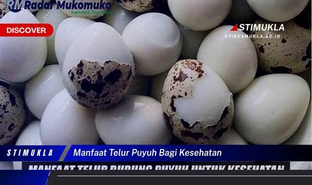 Ketahui 9 Manfaat Telur Puyuh Bagi Kesehatan untuk Meningkatkan Daya Tahan Tubuh Anda