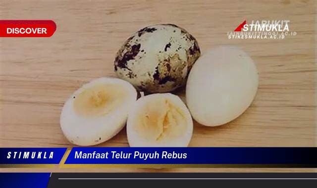 9 Manfaat Telur Puyuh Rebus untuk Kesehatan Optimal