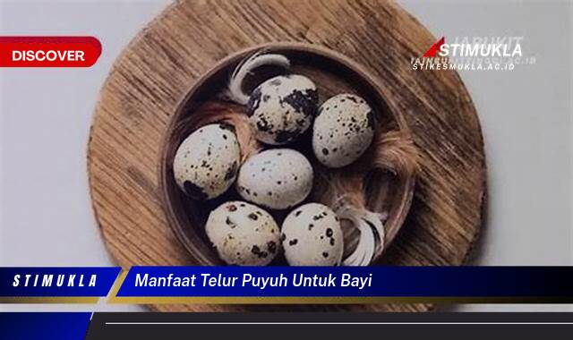 Ketahui 10 Manfaat Telur Puyuh untuk Bayi, Panduan Lengkap Nutrisi dan Penyajian