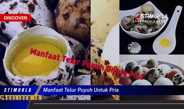 Ketahui 10 Manfaat Telur Puyuh Untuk Pria, Tingkatkan Vitalitas & Stamina