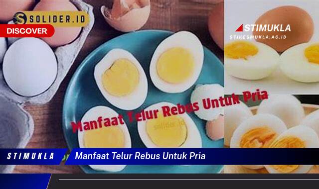 Temukan 10 Manfaat Telur Rebus untuk Pria, Energi Prima Seharian