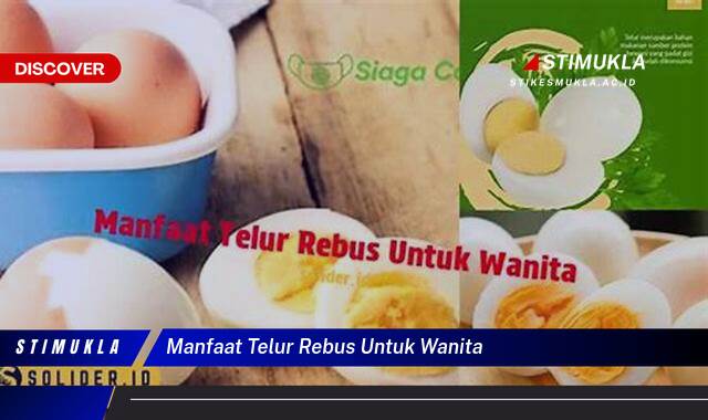 Ketahui 10 Manfaat Telur Rebus untuk Wanita, Meningkatkan Kesehatan dan Kecantikan Secara Alami Ketahui 10 Manfaat Telur Rebus untuk Wanita, Meningkatkan Kesehatan dan Kecantikan Secara Alami
