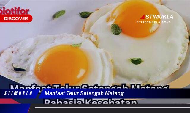 Ketahui 8 Manfaat Telur Setengah Matang untuk Kesehatan dan Risiko yang Perlu Diperhatikan Ketahui 8 Manfaat Telur Setengah Matang untuk Kesehatan dan Risiko yang Perlu Diperhatikan