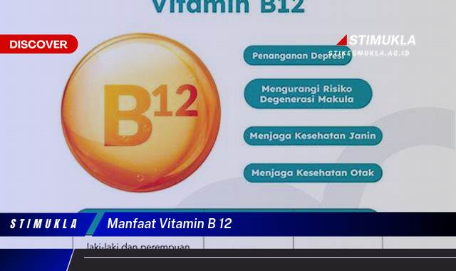 Ketahui 9 Manfaat Vitamin B12 untuk Kesehatan Tubuh Anda Ketahui 9 Manfaat Vitamin B12 untuk Kesehatan Tubuh Anda
