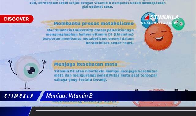 Ketahui 10 Manfaat Vitamin B untuk Kesehatan Tubuh Anda Ketahui 10 Manfaat Vitamin B untuk Kesehatan Tubuh Anda