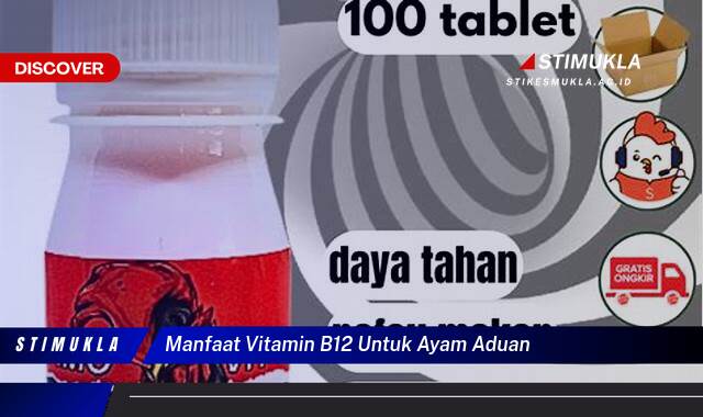 10 Manfaat manfaat vitamin b12 untuk ayam aduan Ungkap Keunggulan dan Kesehatan