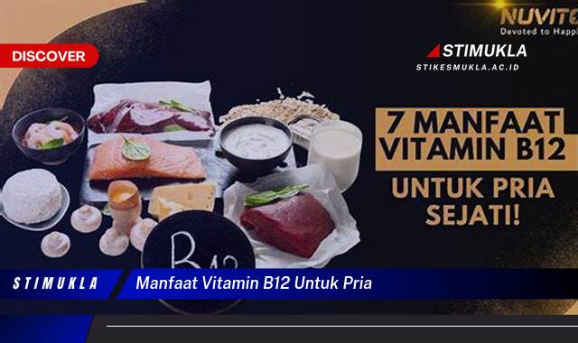 Ketahui 8 Manfaat Vitamin B12 untuk Pria, Meningkatkan Energi, Kesehatan Otak, dan Performa Tubuh Ketahui 8 Manfaat Vitamin B12 untuk Pria, Meningkatkan Energi, Kesehatan Otak, dan Performa Tubuh